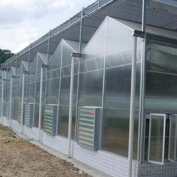 Venlo Solar Panel Greenhouse